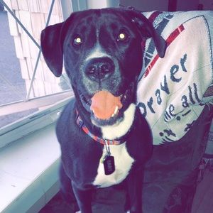 Meet your Posher, Nick